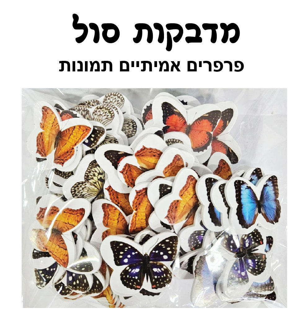מדבקות סול פרפרים 70 יחידות