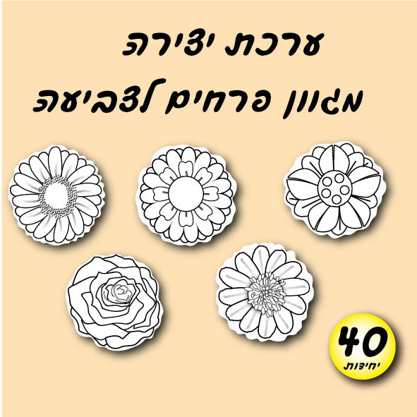 פרחים לצביעה מגוון 40 יח