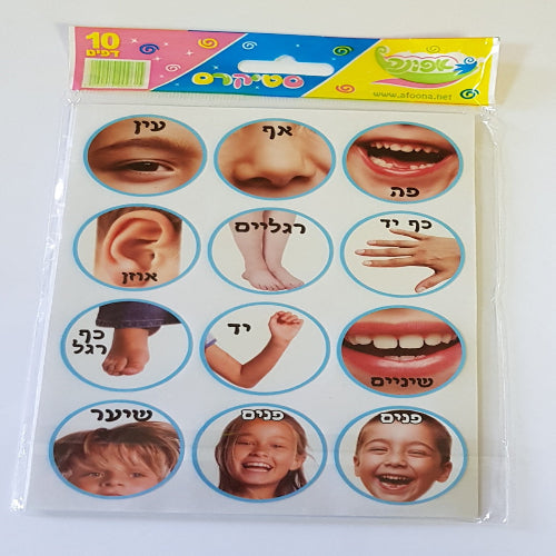 מדבקות אזורי הגוף שלי 10 דף