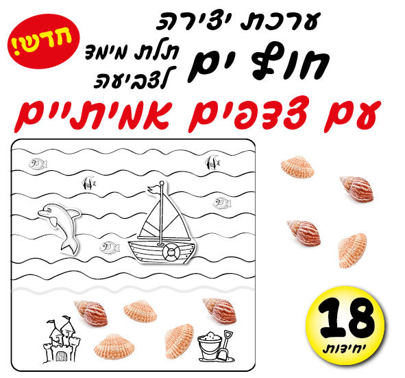 ערכת יצירה חוף ים עם צדפים 18 יחידות