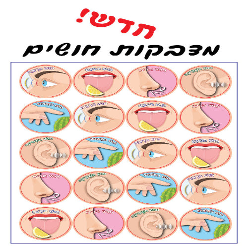 מדבקות חושים 10 דף