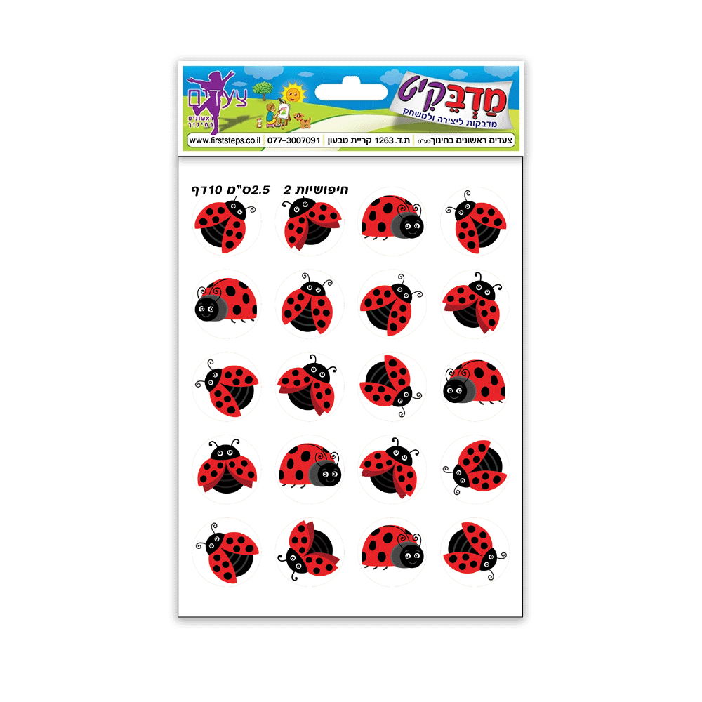 חיפושיות 2.5 ס"מ 10 דף