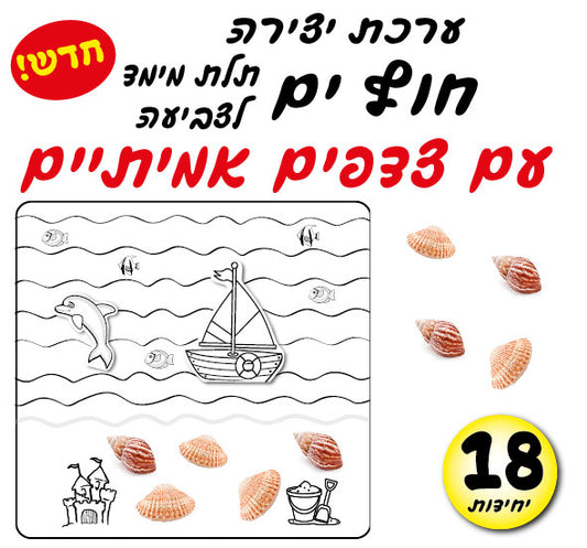 ערכת יצירה חוף ים עם צדפים 18 יחידות