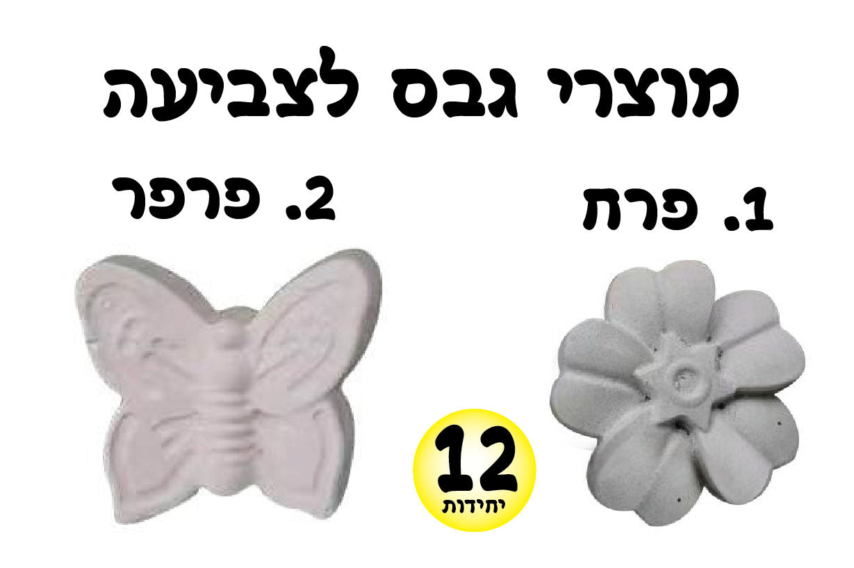 מוצרי גבס פרח פרפר