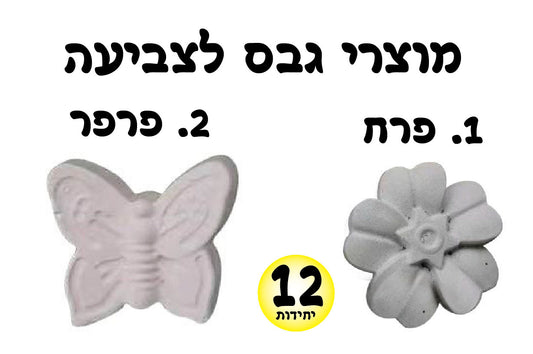 מוצרי גבס פרח פרפר