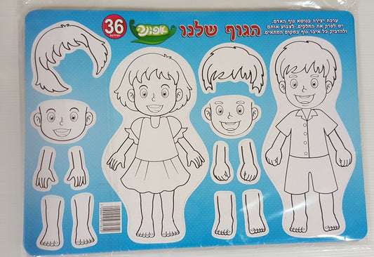 ערכת יצירה הגוף שלנו 36 יחידות