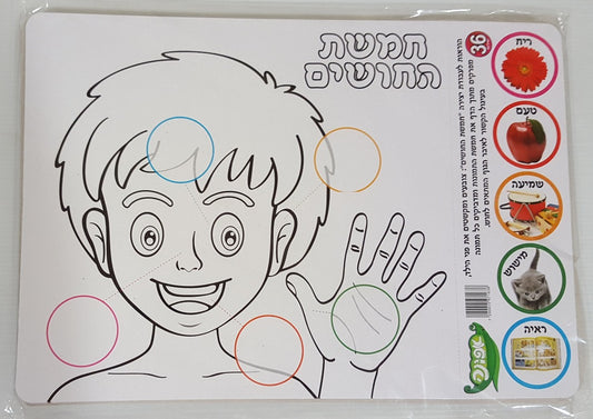 ערכת יצירה חמשת החושים 36 יחידות